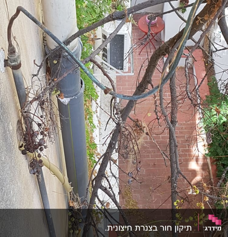 צינור ביוב חיצוני עם צמחייה יבשה מסביב